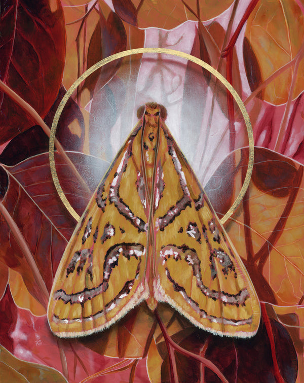 Join our mailing list