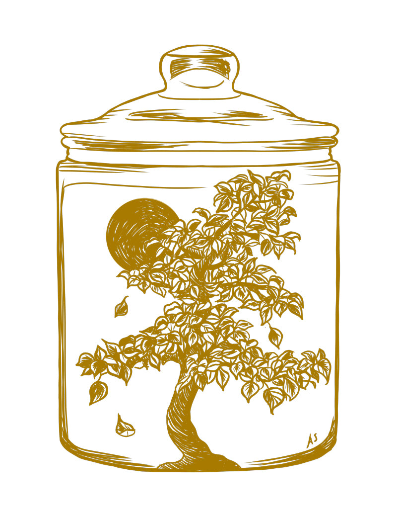 bonsai tree illustration by Aimee Schreiber