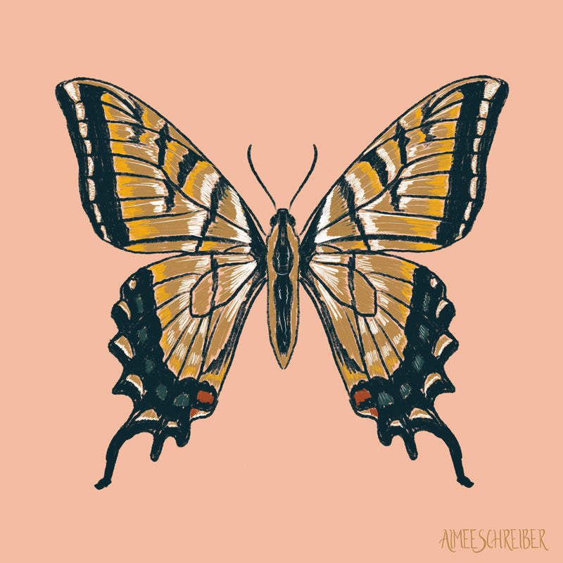 Gold Swallowtail Butterfly Illustration by Aimee Schreiber