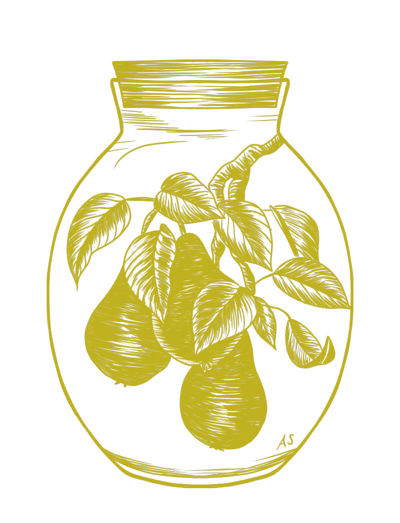 Pears illustration by Aimee Schreiber
