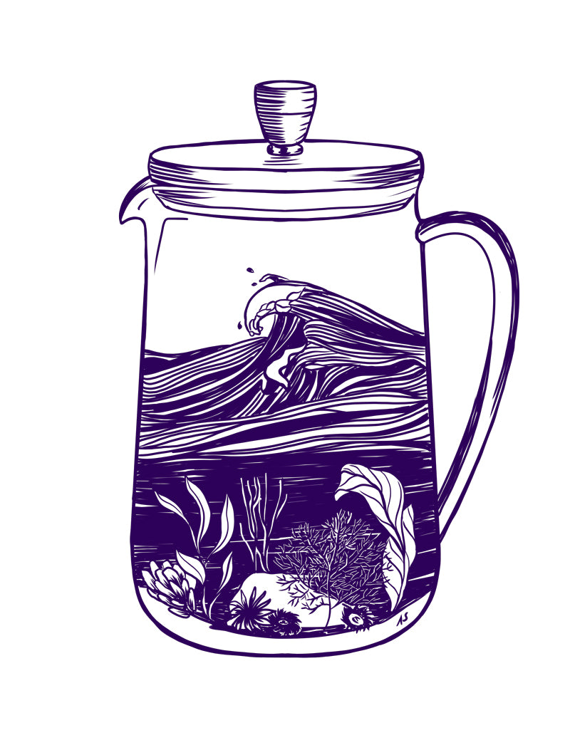 Purple ocean french press illustration by Aimee Schreiber