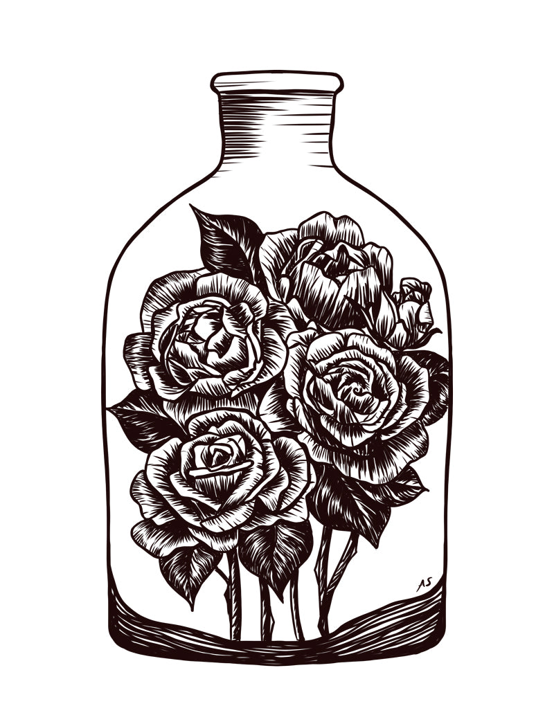 Roses illustration by Aimee Schreiber