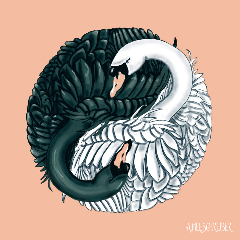 Swan Yin Yang Illustration by Aimee Schreiber