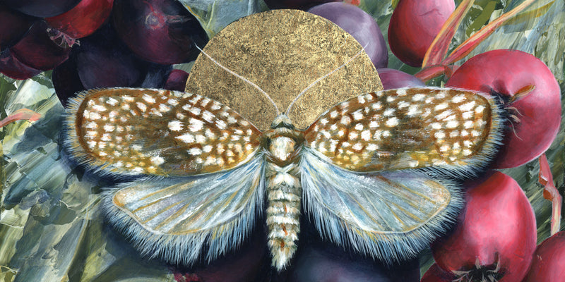 Aimee Schreiber painting commissions