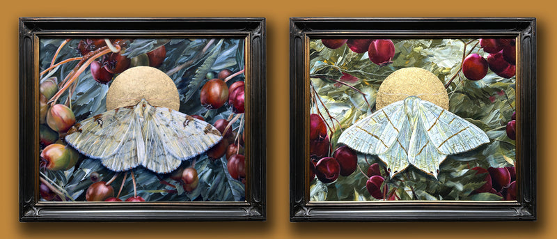 Aimee Schreiber symbolic moth paintings
