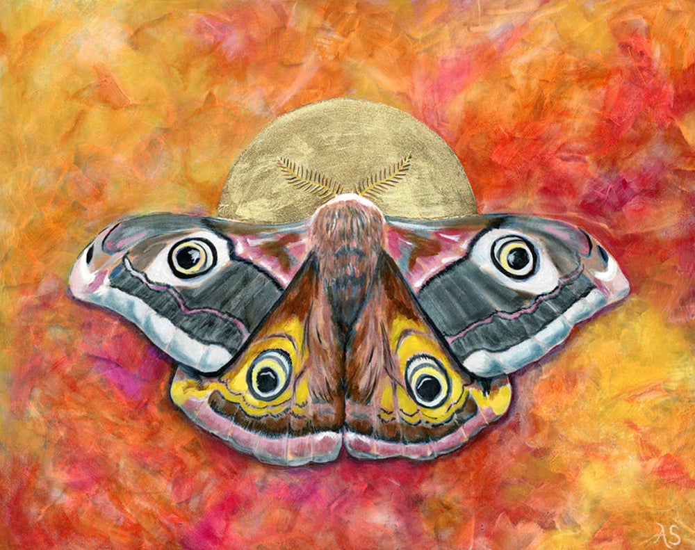 autumn emperor moth by Aimee Schreiber