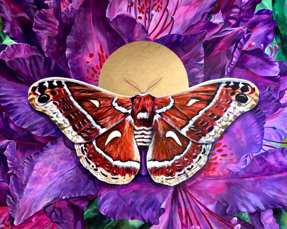 ceanothus moth with purple flowers painting by Aimee Schreiber