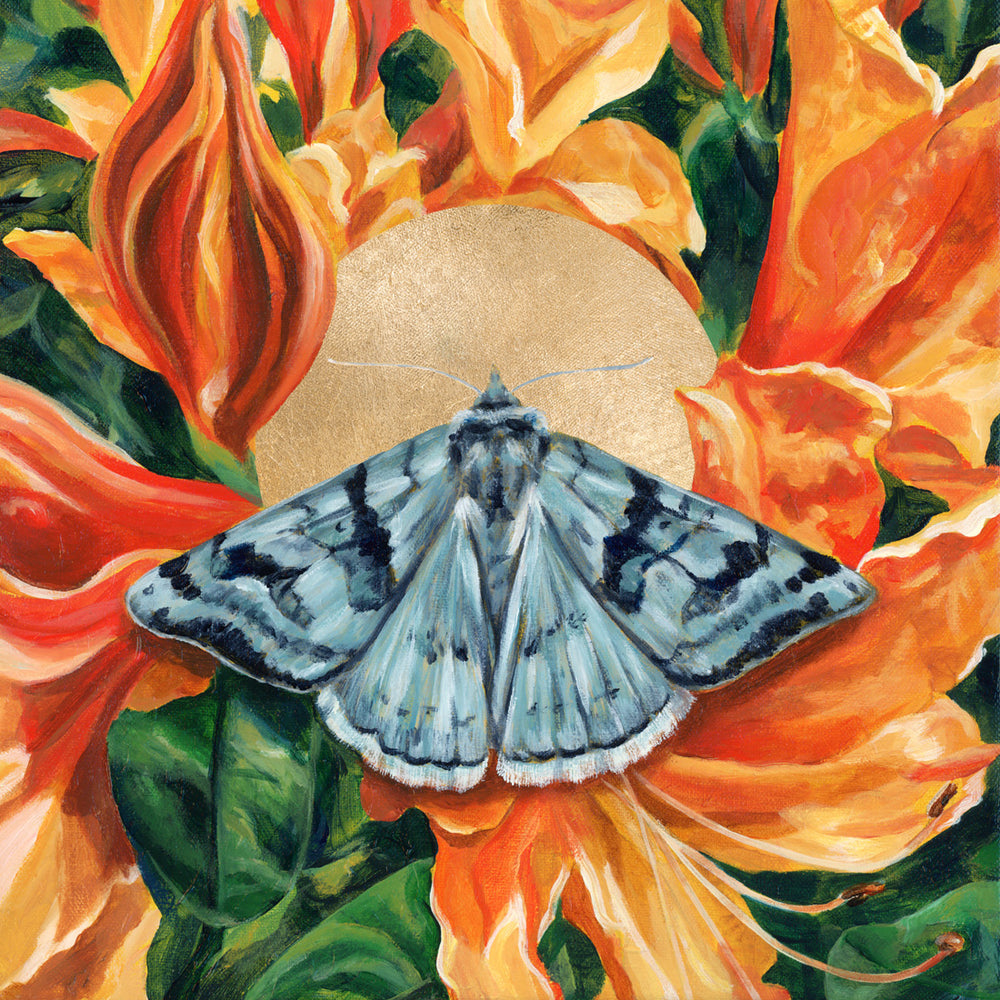 blue moth and orange flower painting by Aimee Schreiber