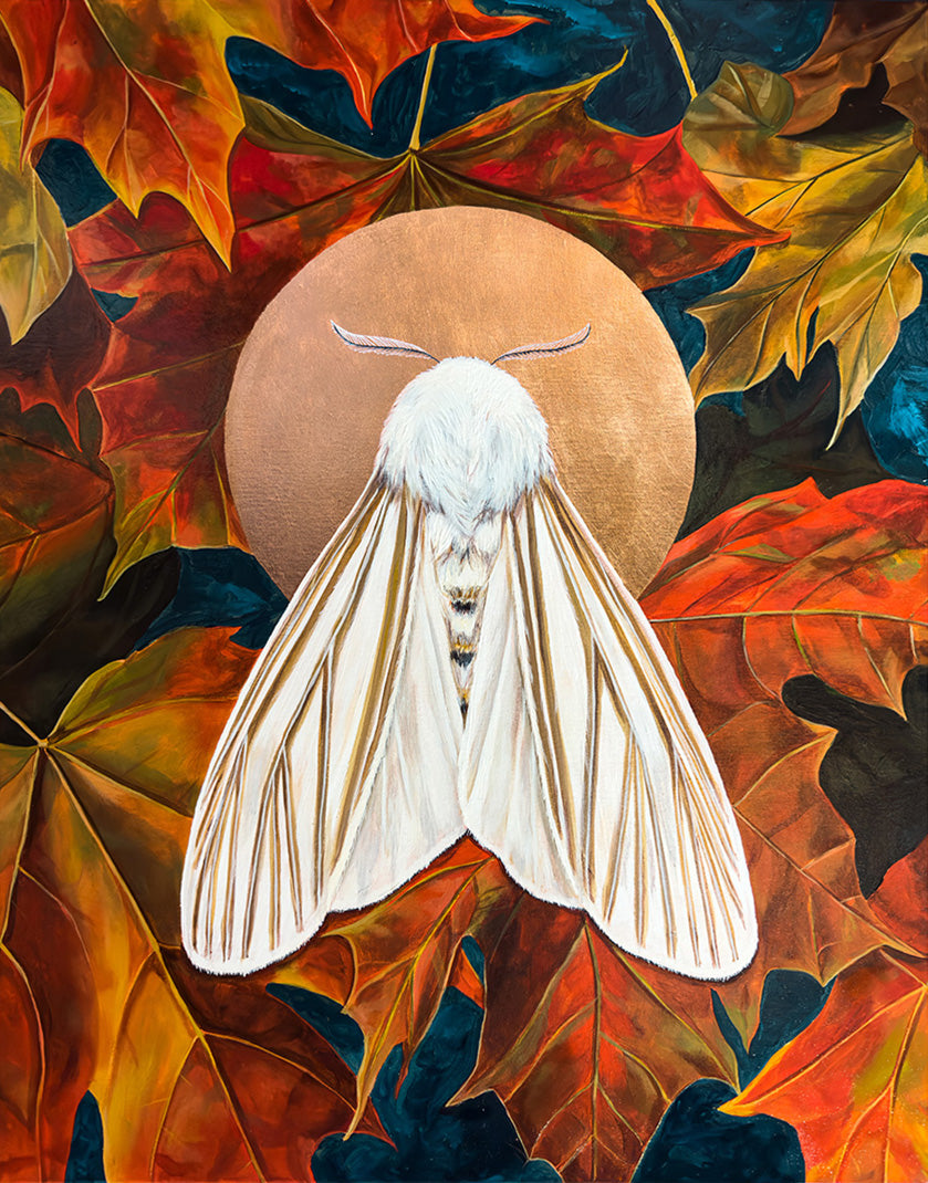 echo moth painting by Aimee Schreiber