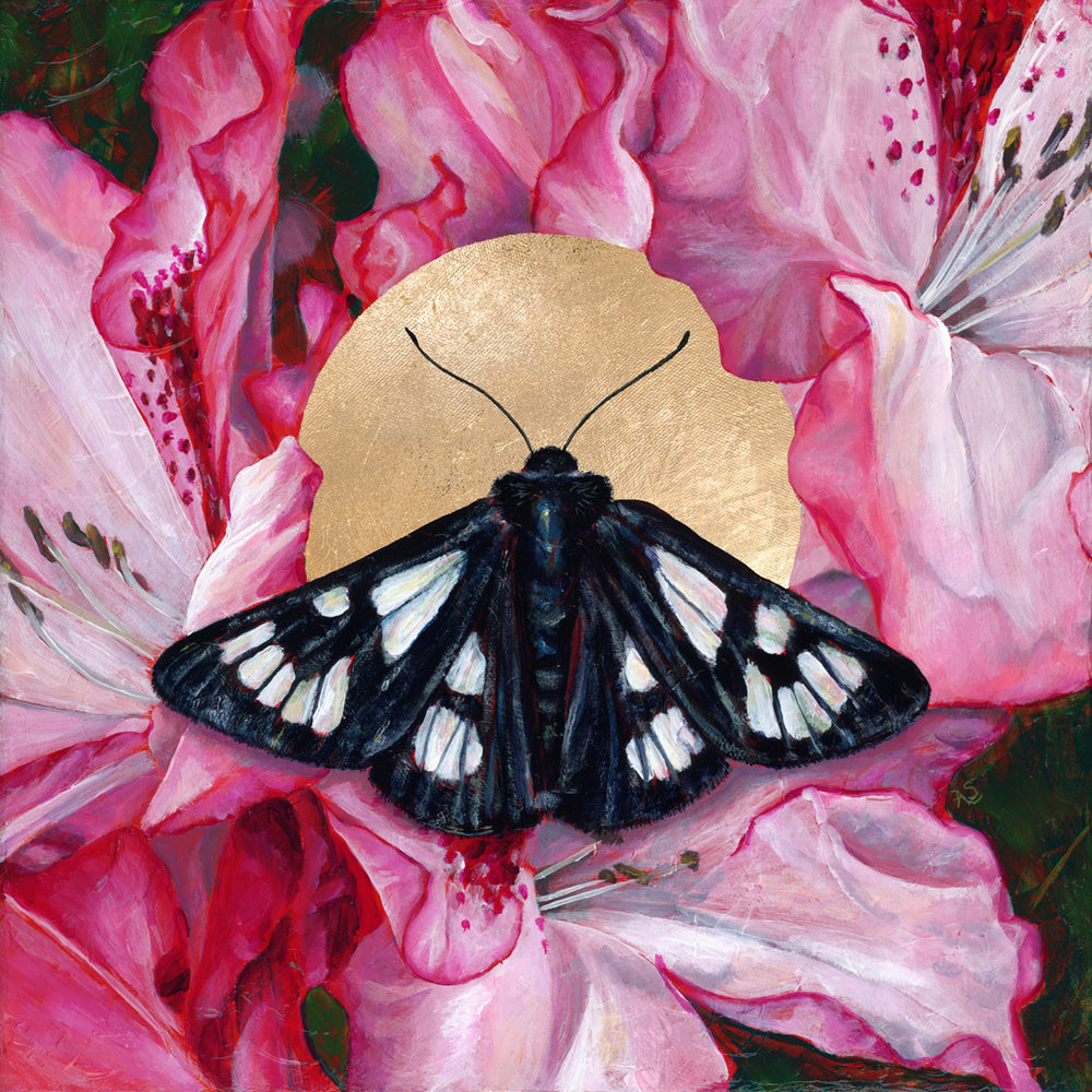 black moth pink flower painting by Aimee Schreiber