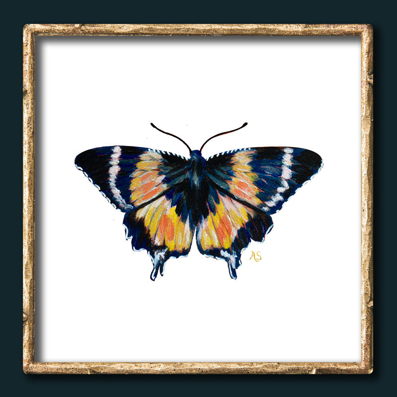 
            
              Free printable butterfly art
            
          