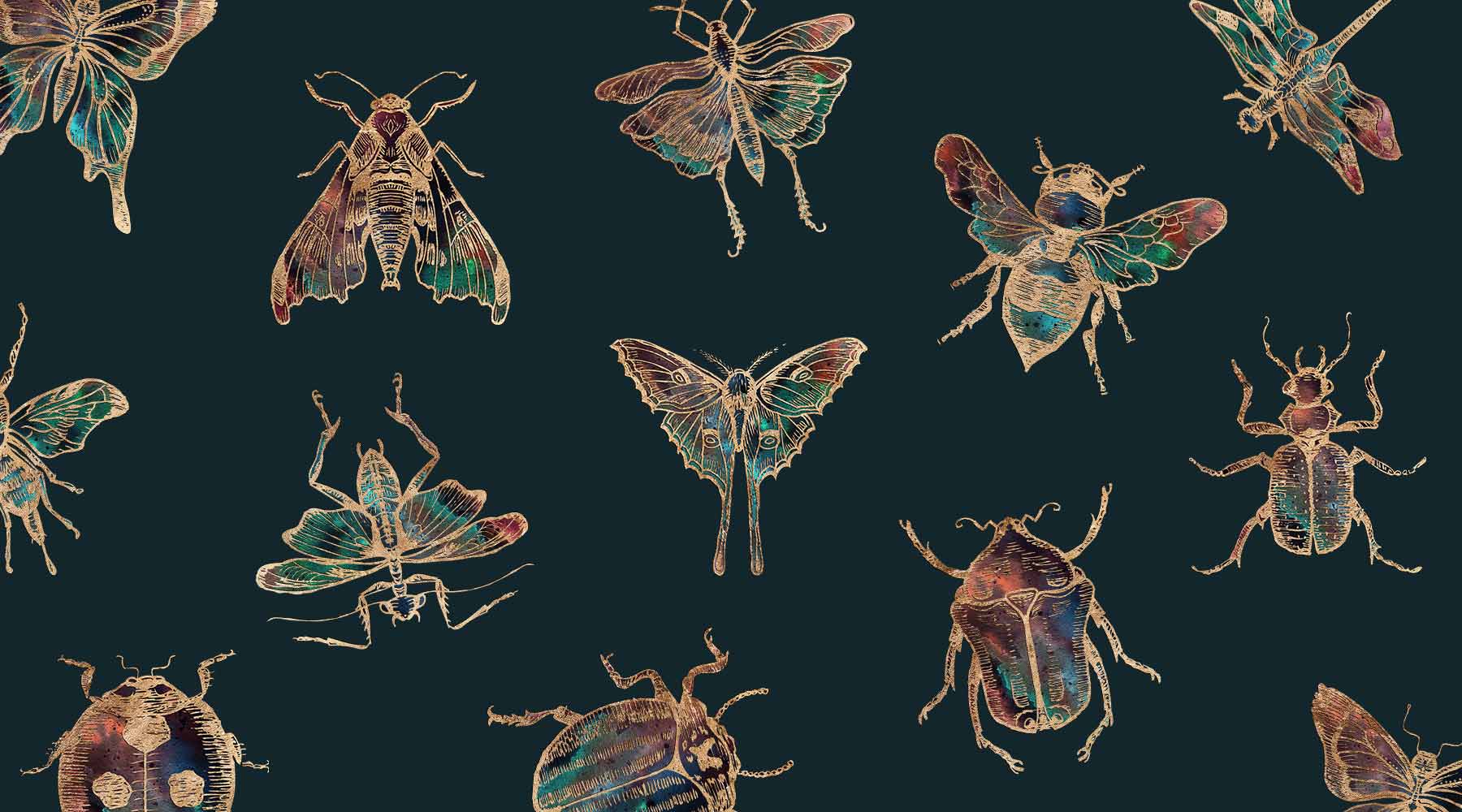 gold insect nature illustrations by Aimee Schreiber Art & Design