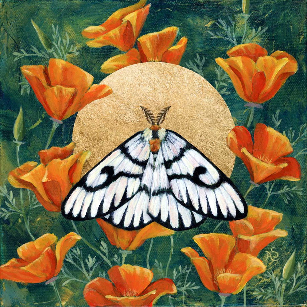 Hera buckmoth poppies painting by Aimee Schreiber
