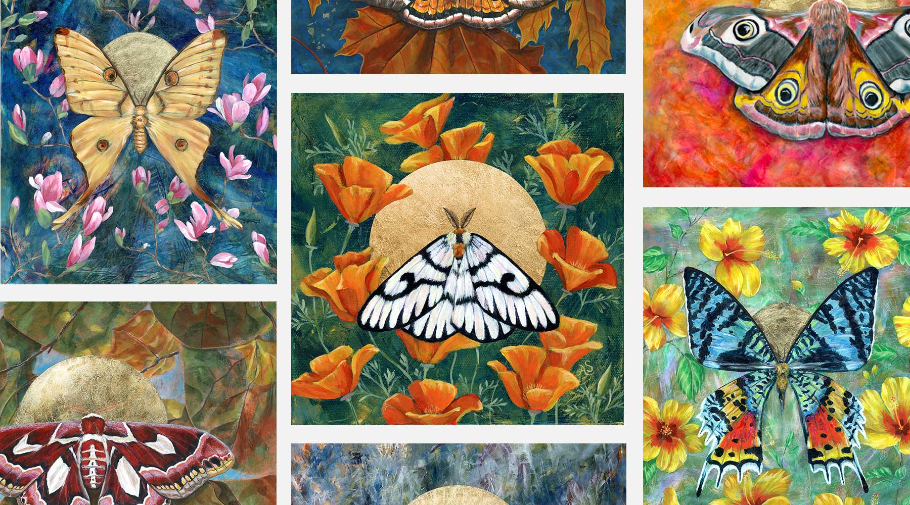moth art prints for sale by Aimee Schreiber