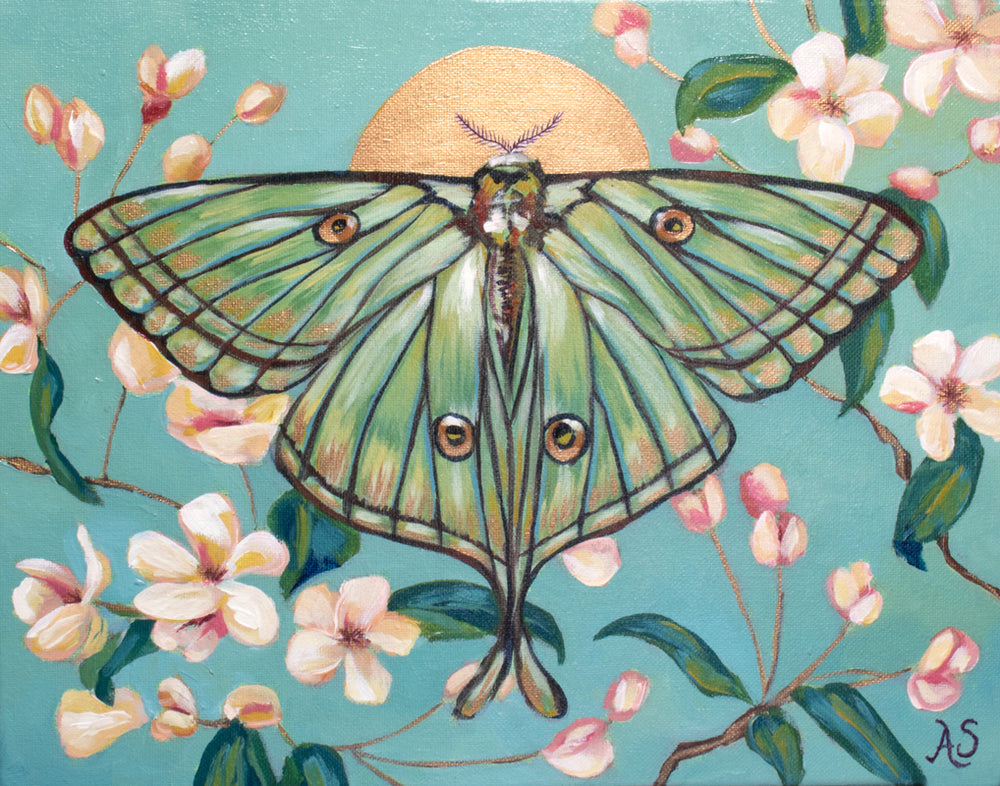 Luna Moth Flower painting by Aimee Schreiber
