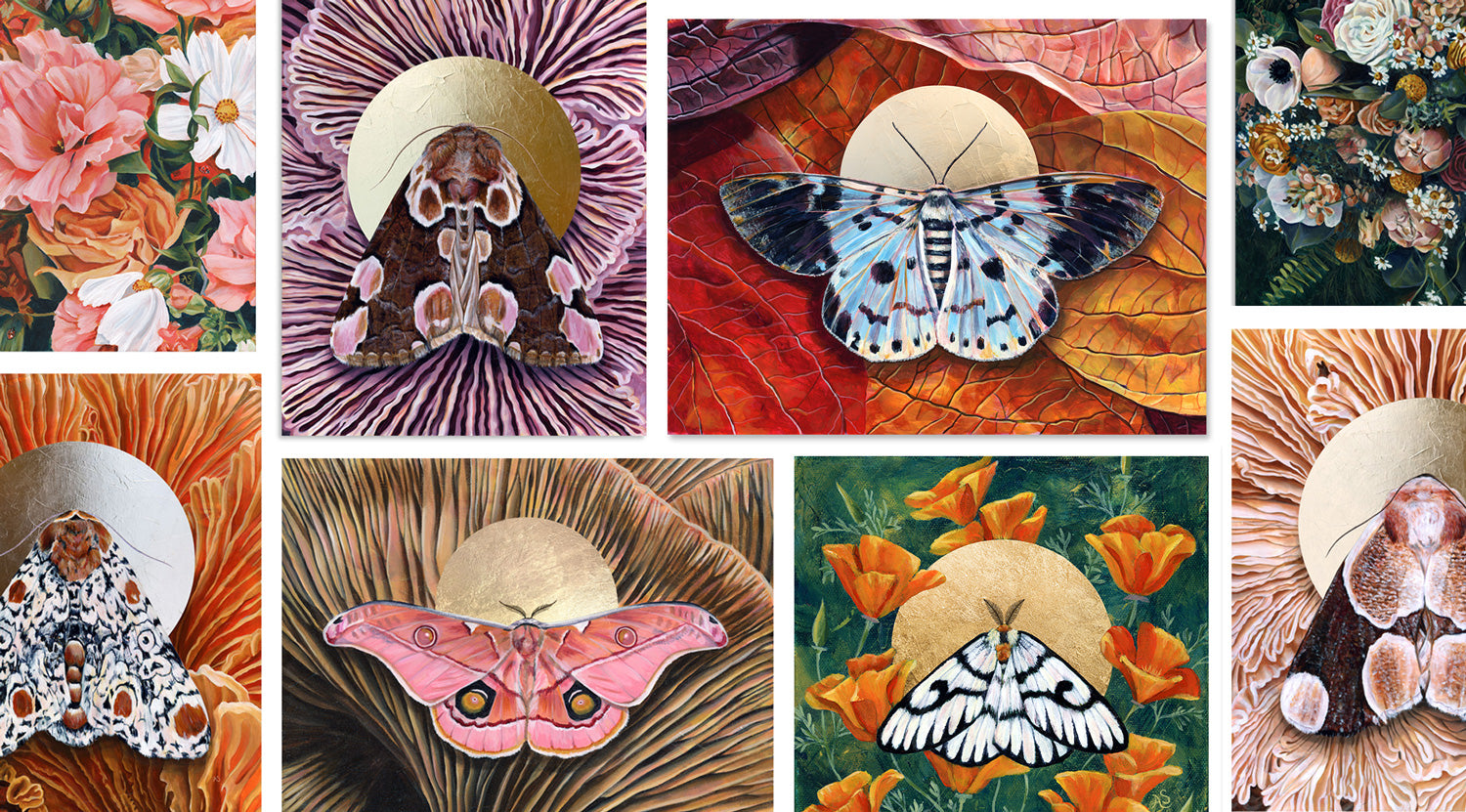moth art prints by Aimee Schreiber