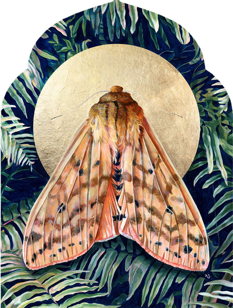 moth painting by Aimee Schreiber