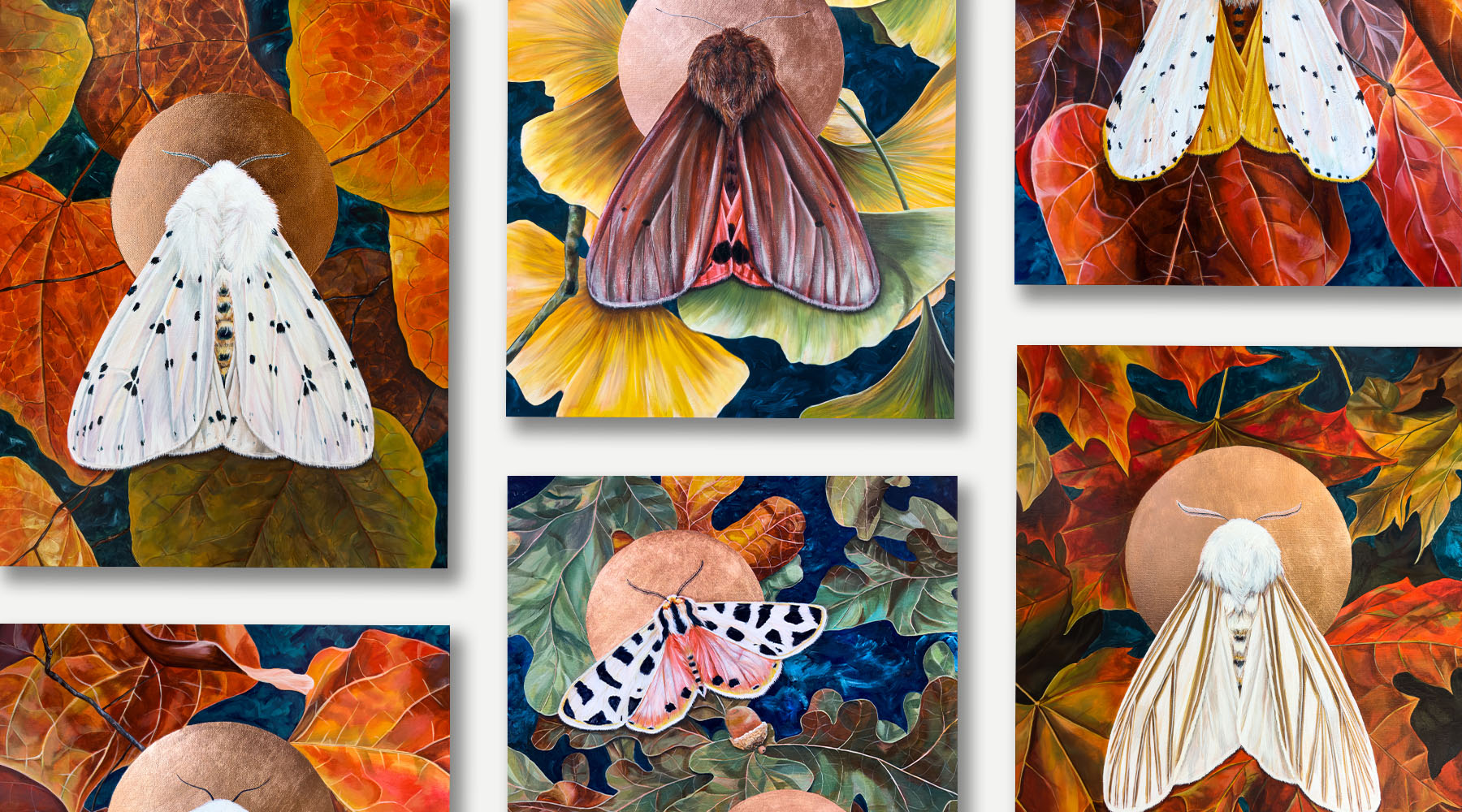 moth paintings for sale by Aimee Schreiber