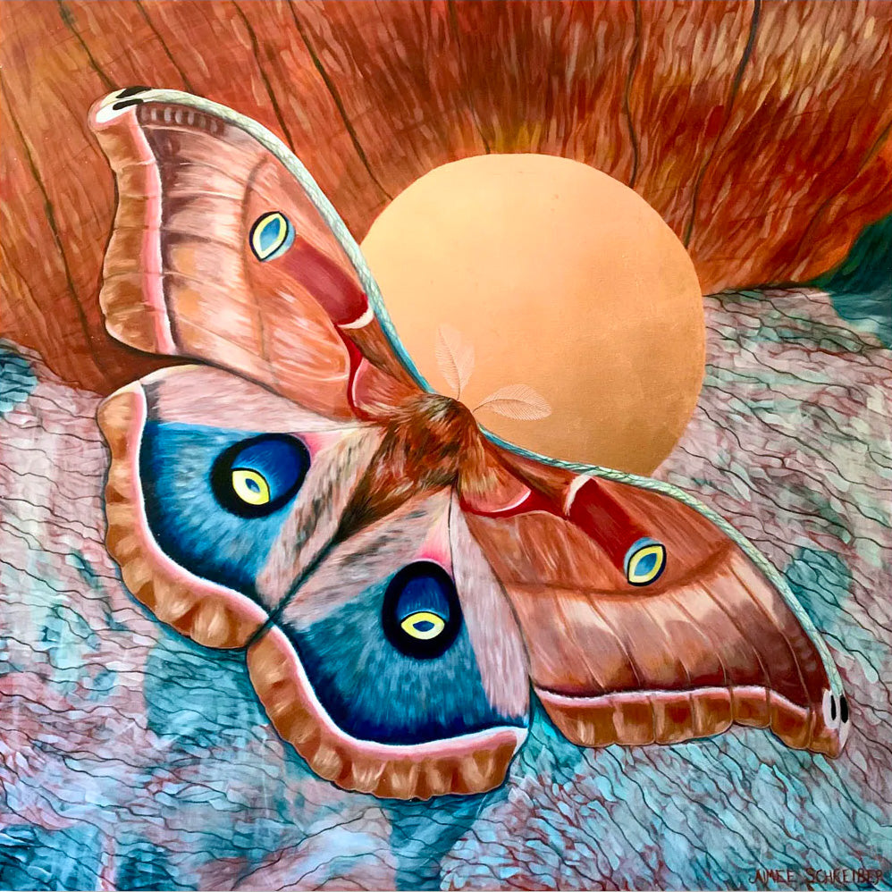 polyphemus moth painting by Aimee Schreiber