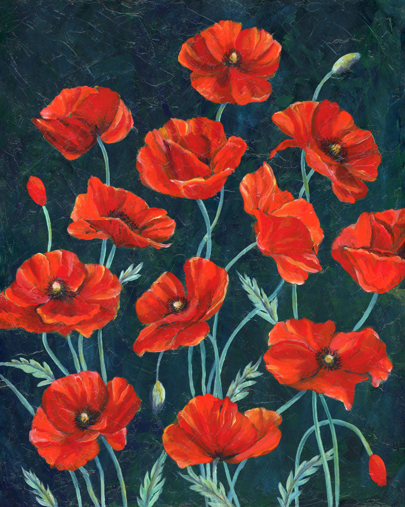 red poppy painting by Aimee Schreiber