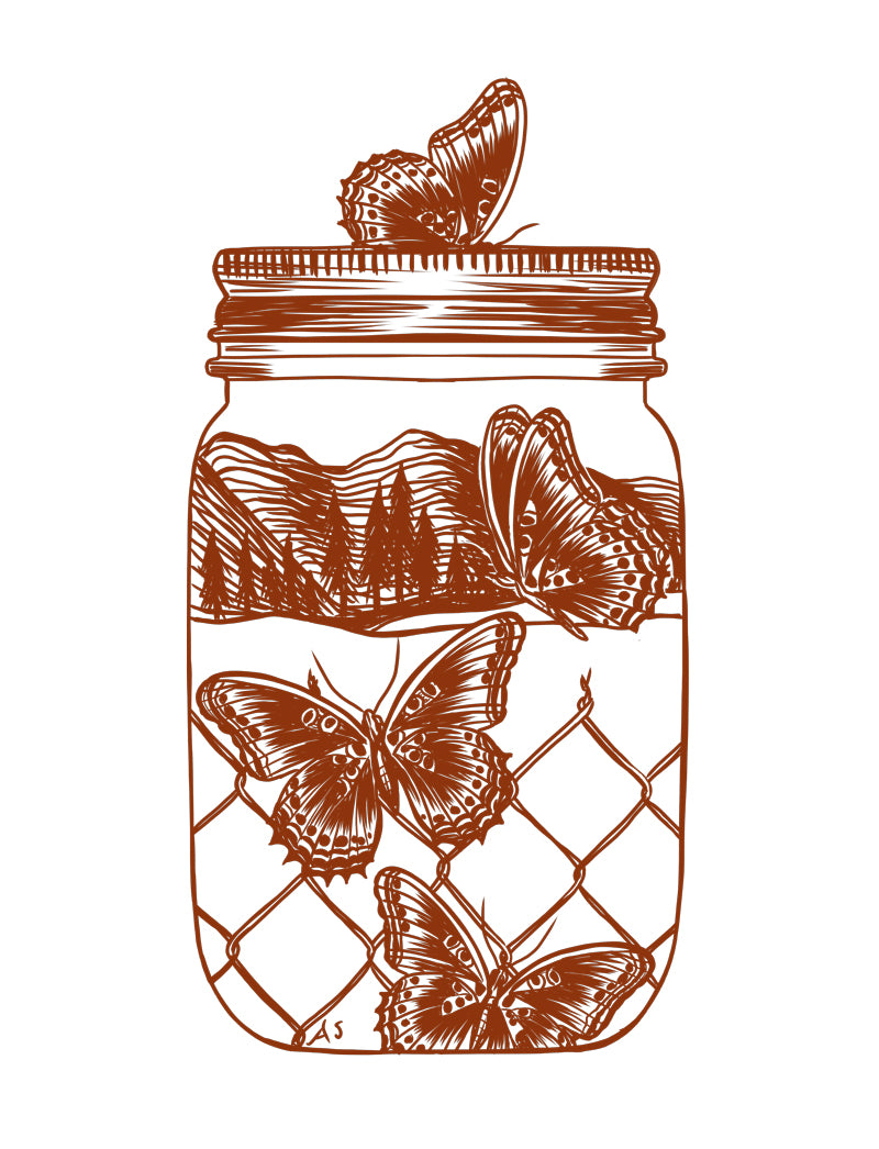 Butterflies jar illustration by Aimee Schreiber