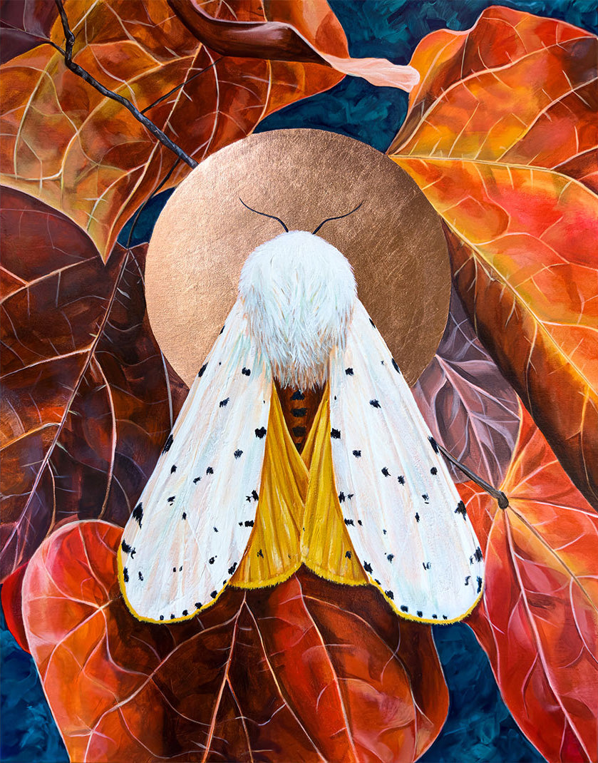 salt marsh moth painting by Aimee Schreiber
