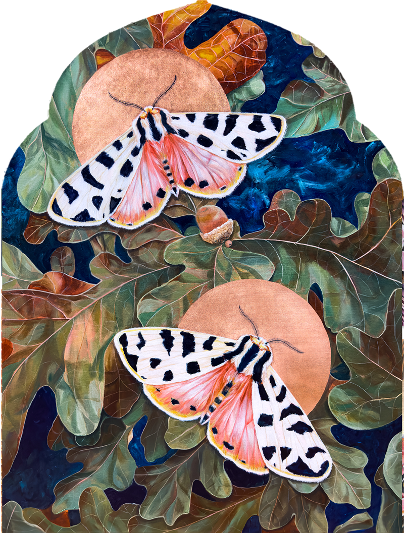 tiger moth painting by Aimee Schreiber