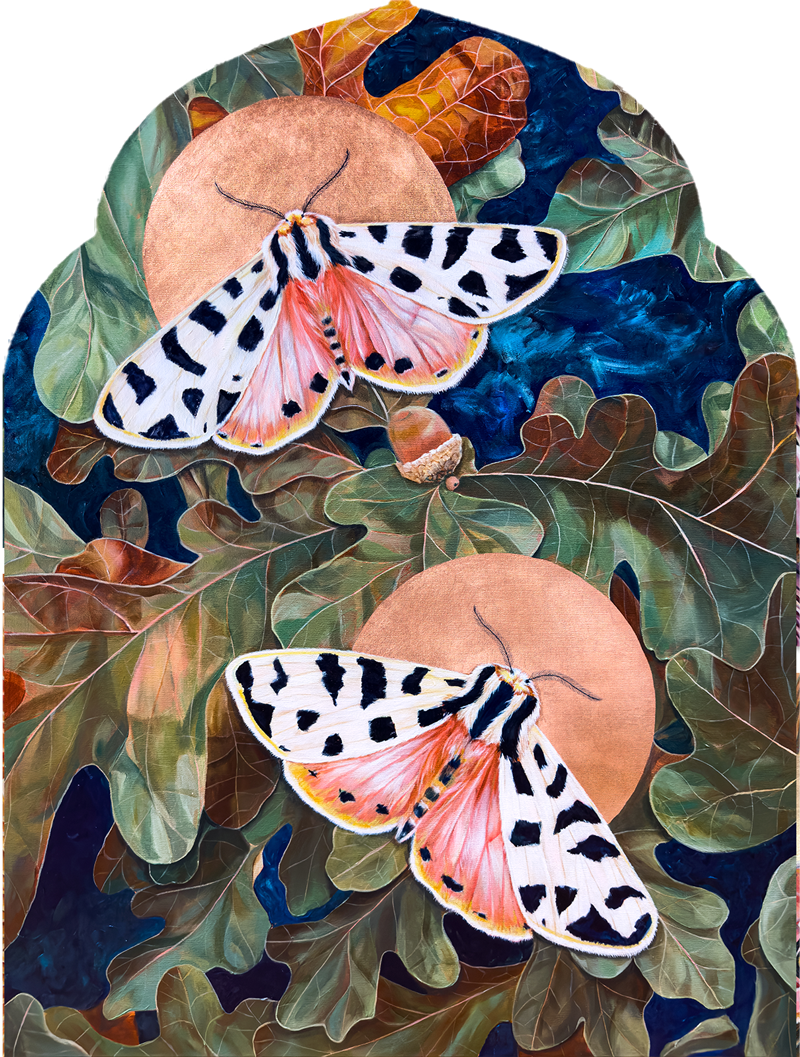Aimee Schreiber Art & Design | Symbolic Nature Art