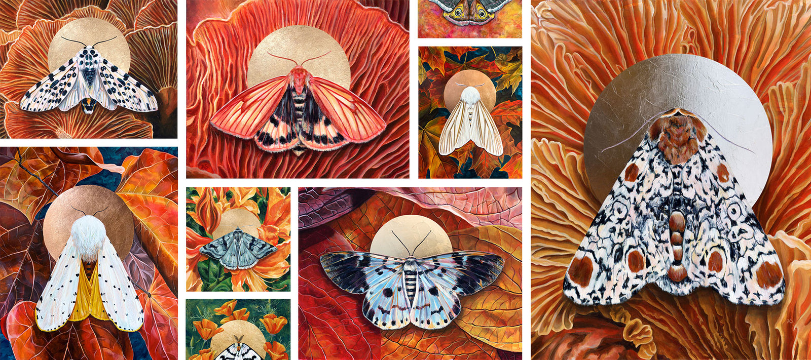 moth art by Aimee Schreiber